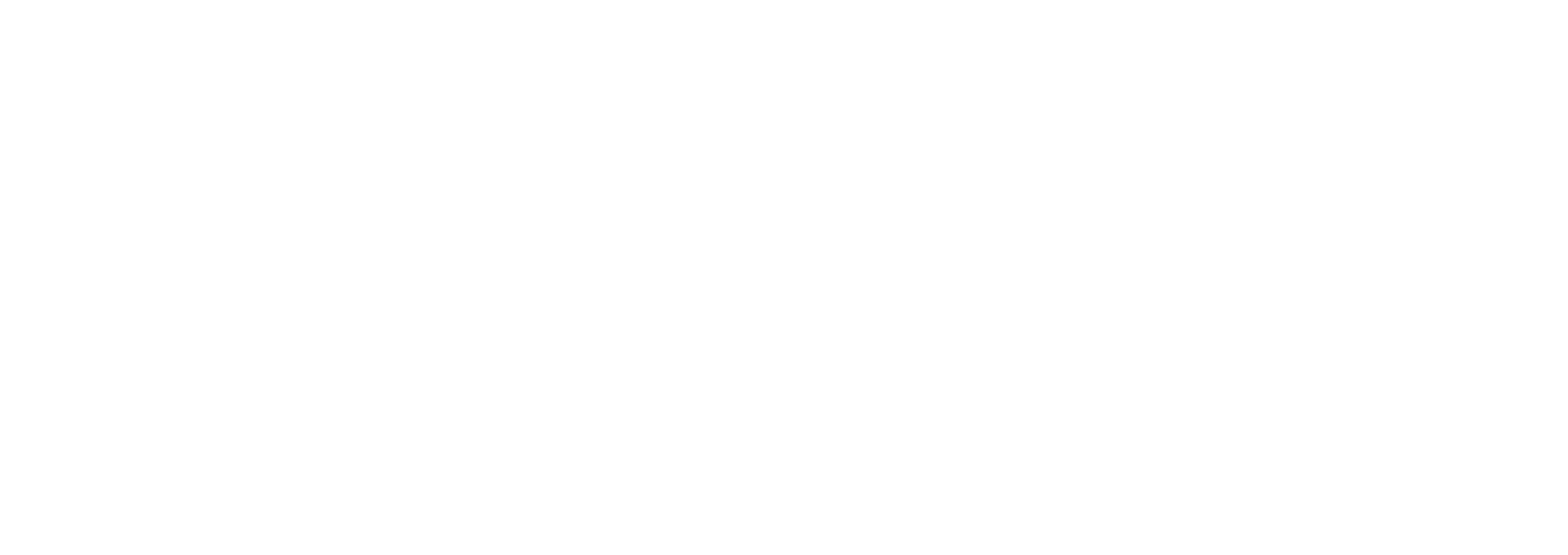 intelligencesolution.it